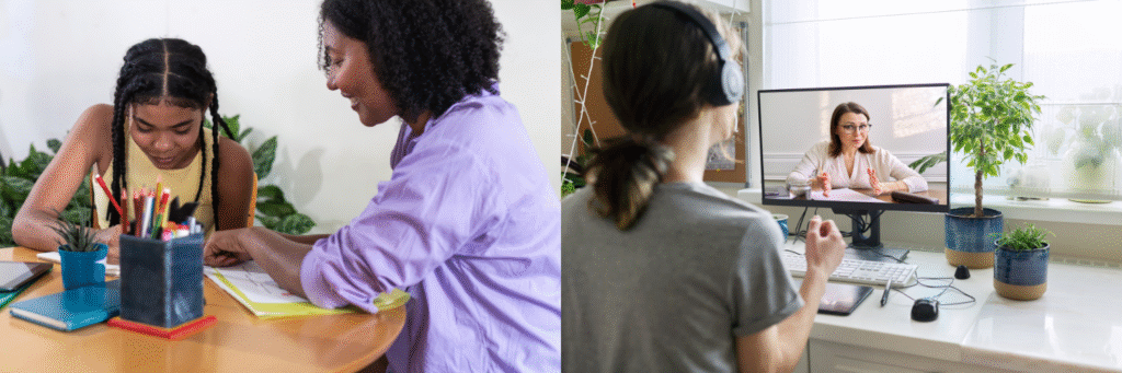 homeschool parent and virtual teacher