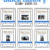 Black History Reading Bundle | Civil Rights Movement | ELA