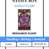 Native Son, Richard Wright | Reading, Writing, and Literary Analysis | High School ELA